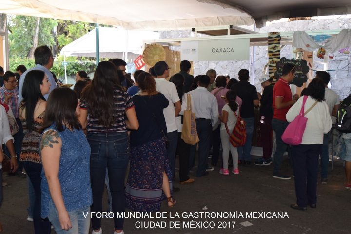 Publico-Oaxaca-FMGM-IV