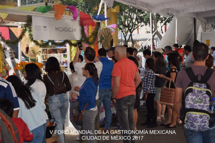 Stand Michoacan FMGM IV